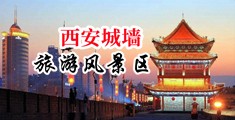 8x8x扦扦中国陕西-西安城墙旅游风景区